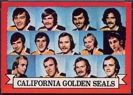 95 Golden Seals Team